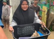 Banjir Kiriman Bogor, Bekasi Timur dan Utara Terendam Hingga 2 Meter