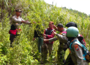 Viral Penemuan Ladang Ganja di Kawasan TNBTS, Kepala BB TNBTS Beri Klarifikasi