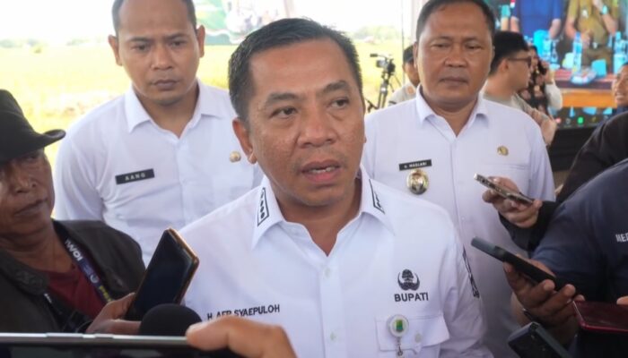 Karawang Ikut Partisipasi Panen Raya Nasional, Produksi Padi Capai 1,4 Juta Ton per Tahun