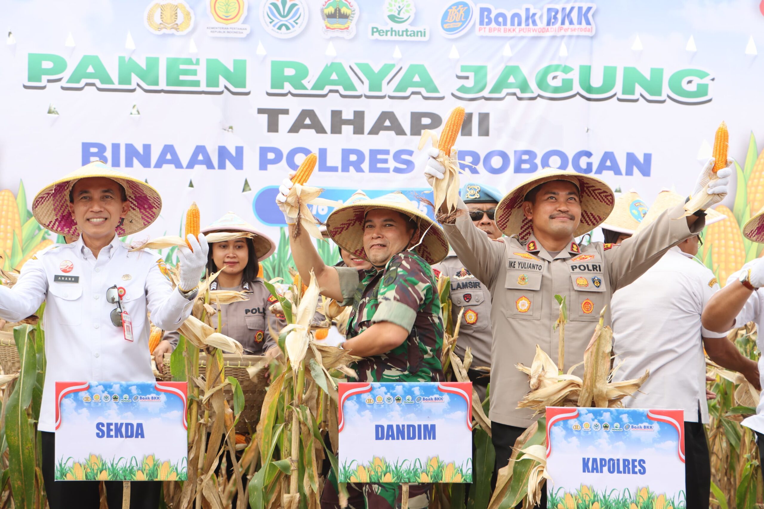 Polres Grobogan Panen Raya Jagung: Dukung Swasembada Pangan Nasional