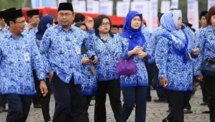 Hindari PHK Massal, Pemerintah Selamatkan Tenaga Honorer R2 dan R3 melalui Skema Ini