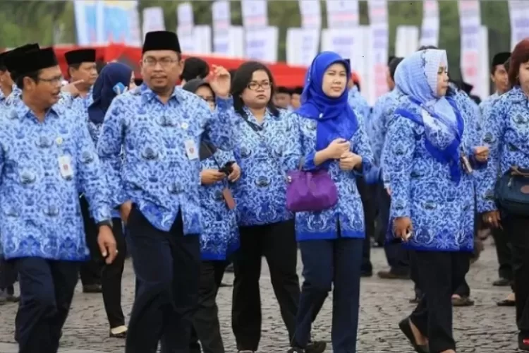 Hindari PHK Massal, Pemerintah Selamatkan Tenaga Honorer R2 dan R3 melalui Skema Ini