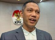 Pencalonan Nurul Ghufron Jadi Hakim Agung Dikritik Keras Oleh Novel Baswedan