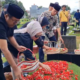 Ribuan Kendaraan Padati Jalur Pantura Cirebon Menjelang Puncak Arus Balik Lebaran