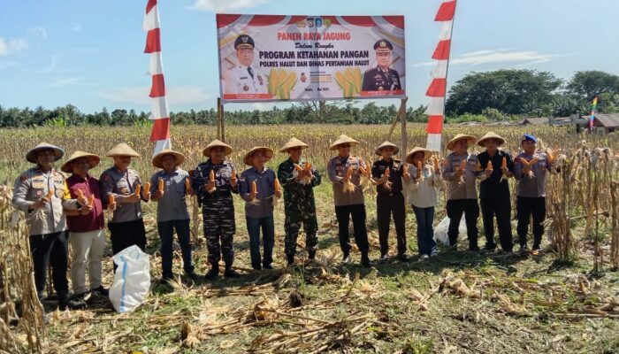 Polda Maluku Utara Gelar Panen Raya Jagung sebagai Dukungan Ketahanan Pangan Nasional
