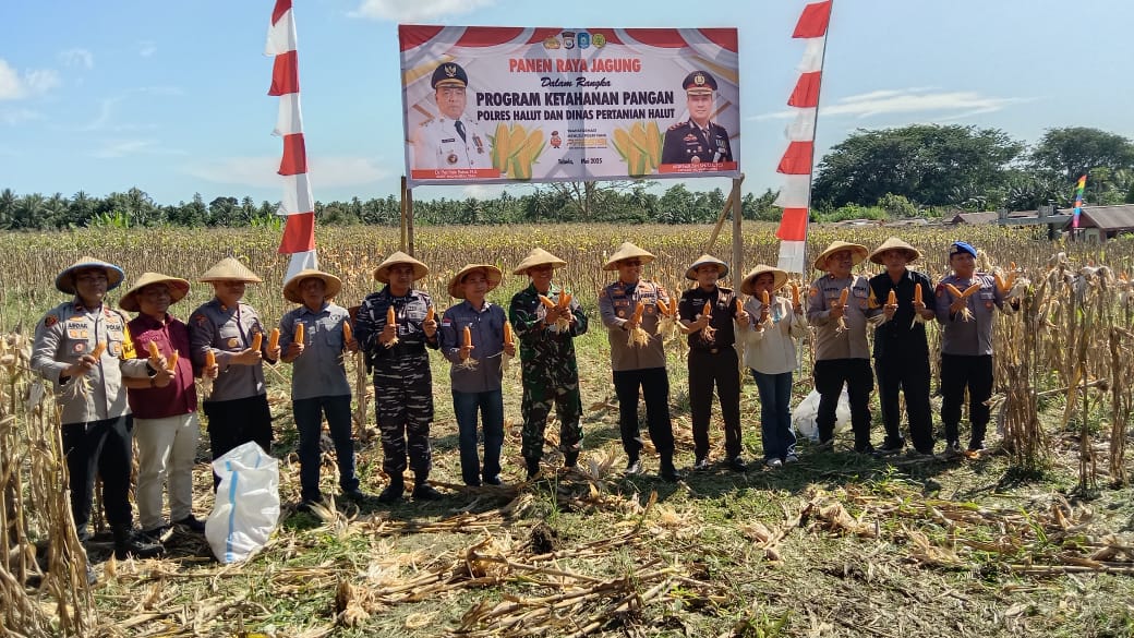 Polda Maluku Utara Gelar Panen Raya Jagung sebagai Dukungan Ketahanan Pangan Nasional