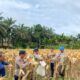 Dukung Asta Cita, Gugus Tugas Ketahanan Pangan Polda Jambi Sukses Panen Jagung di 6 Polres