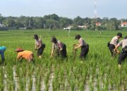 Inovasi Pelatihan Siswa Polwan 2025: Dari Pengabdian Desa hingga SPPG Polri