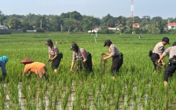 Inovasi Pelatihan Siswa Polwan 2025: Dari Pengabdian Desa hingga SPPG Polri