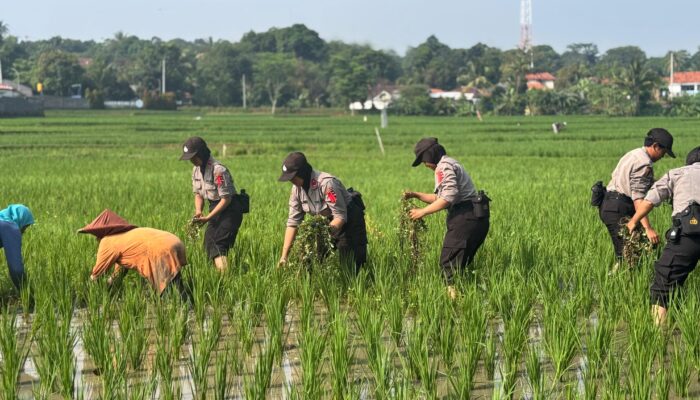 Inovasi Pelatihan Siswa Polwan 2025: Dari Pengabdian Desa hingga SPPG Polri
