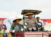 Irwasum Polri : Swasembada Jagung Bukan Lagi Mimpi, Ini Buktinya