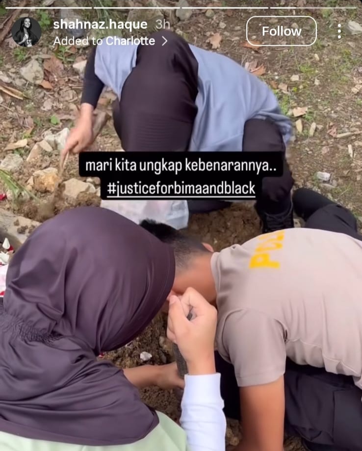 K9 Polri Turun Tangan Selidiki 2 Anjing Shelter di Sentul Mati Diduga Diracun