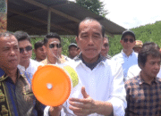 Jokowi Berikan Solusi bagi Petani Jeruk di Karo, Gandeng Akademisi untuk Atasi Hama Buah