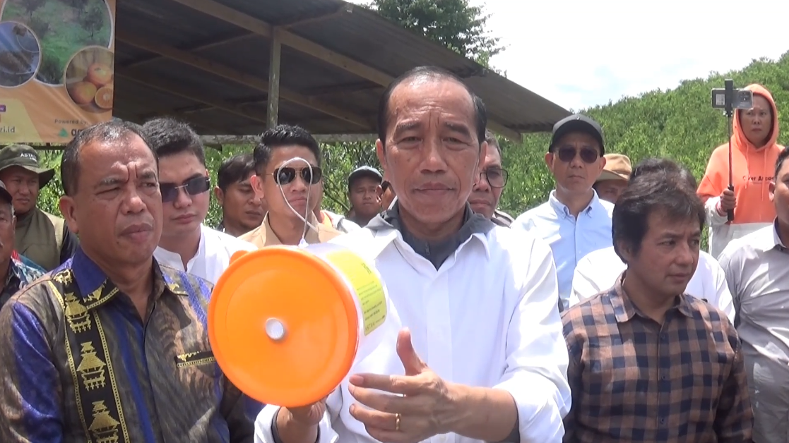 Jokowi Berikan Solusi bagi Petani Jeruk di Karo, Gandeng Akademisi untuk Atasi Hama Buah