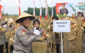 Gugus Tugas Ketahanan Pangan Polri Sukses Dorong Ekspor Jagung