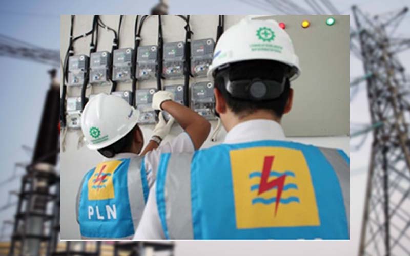 pln koma