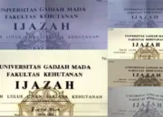 Pengamat: Jokowi Makin Eksis Selama Kasus Ijazah Palsu Bergulir