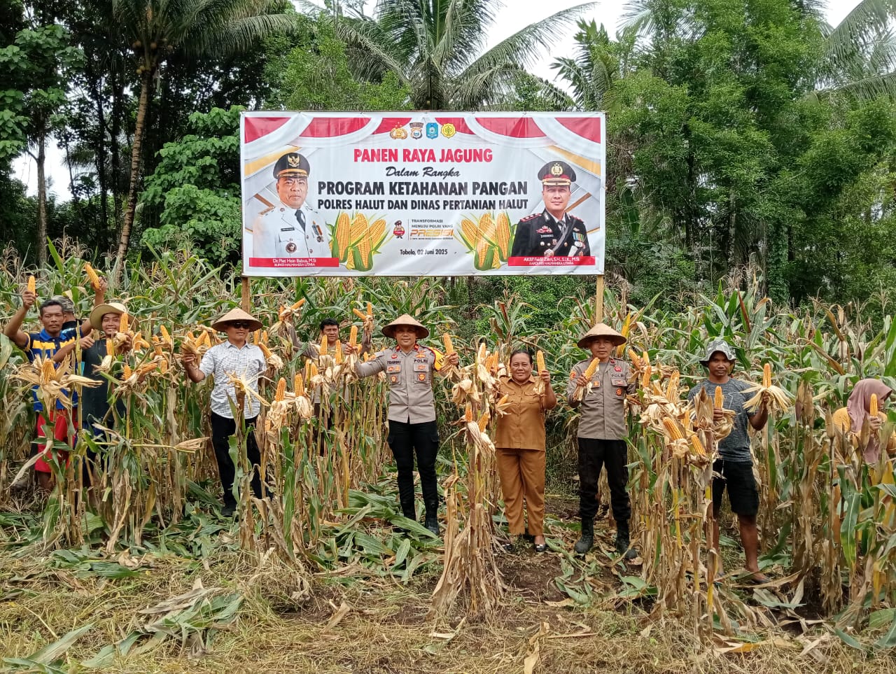 Polres Halmahera Utara Sukses Gelar Panen Raya Jagung Dukung Ketahanan Pangan Nasional