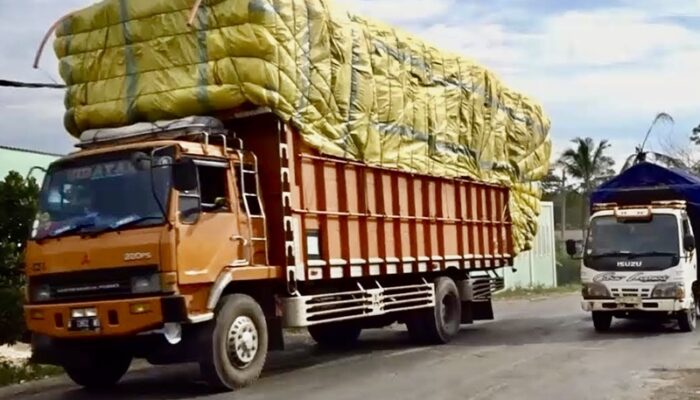 Pemerintah Sanksi Ratusan Perusahaan Pemilik Truk Obesitas Nekat Melintas Saat Lebaran
