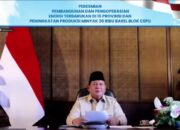 Langkah Nyata Menuju Swasembada Energi, Presiden Prabowo Resmikan 55 Proyek Pembangkit EBT di 15 Provinsi