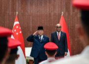 Presiden Prabowo Dorong Kolaborasi Temasek dan Danantara