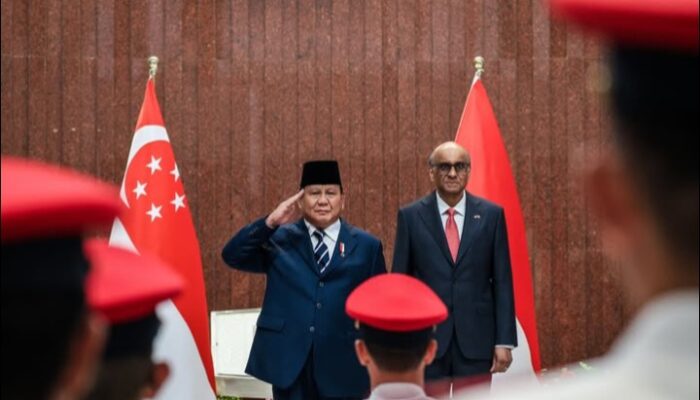 Presiden Prabowo Dorong Kolaborasi Temasek dan Danantara
