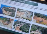 PT Gag Nikel dan 12 Perusahaan yang Dapat Izin Tambang di Hutan Dari Era Megawati