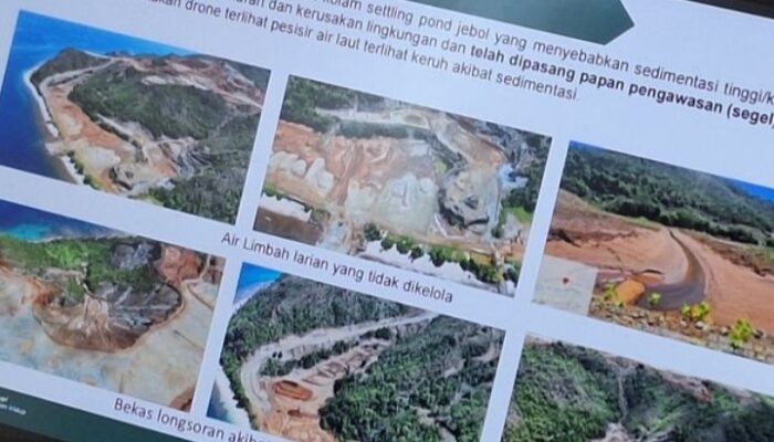 PT Gag Nikel dan 12 Perusahaan yang Dapat Izin Tambang di Hutan Dari Era Megawati