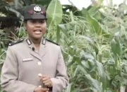 Bripda Imelda Polwan Ketahanan Pangan Asal Papua Ingin Jadi Problem Solver