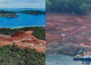 Kenapa PT Anugerah Surya Pratama & 2 Perusahaan Swasta Lainnya Tak Ditindak soal Isu Tambang Raja Ampat