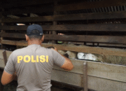Aipda Teuku Abdullah, Polisi yang Sukses Menjadi Peternak Kambing
