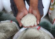 KPK Garap 2 Tersangka Korupsi Bansos Beras