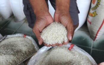 25 Produsen Beras Telah Diperiksa, 187 Merek Masuk Daftar Proses