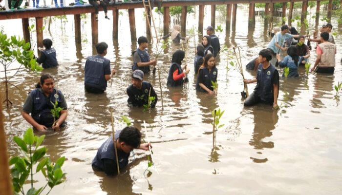 BoMaGu: Inovasi Bolu Mangrove Mahasiswa FPIK Universitas Brawijaya untuk Desa Penunggul