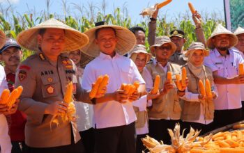 Petani Maros Bangkit Bersama Polri: Dari Lahan Tidur ke Lumbung Jagung