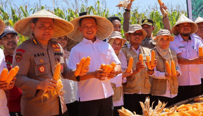 Petani Maros Bangkit Bersama Polri: Dari Lahan Tidur ke Lumbung Jagung