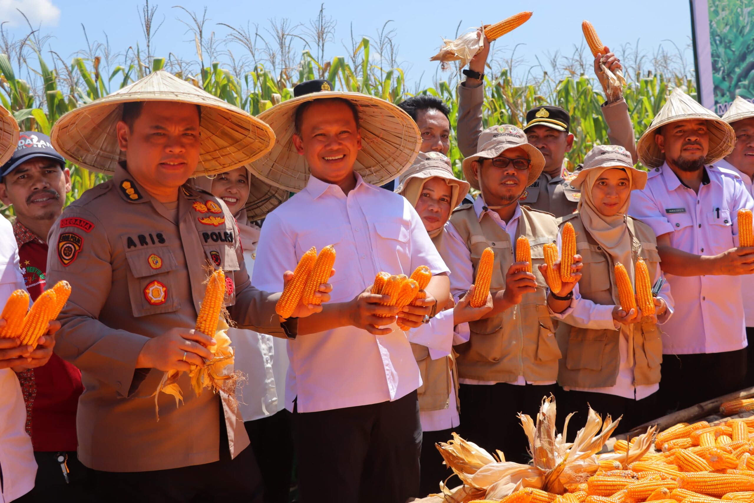 Petani Maros Bangkit Bersama Polri: Dari Lahan Tidur ke Lumbung Jagung