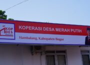 Peluang Karier Menjanjikan, Ini Jadwal Pendaftaran dan Seleksi, Persyaratan, Formasi, Link dan Cara Daftar Rekrutmen Koperasi Merah Putih