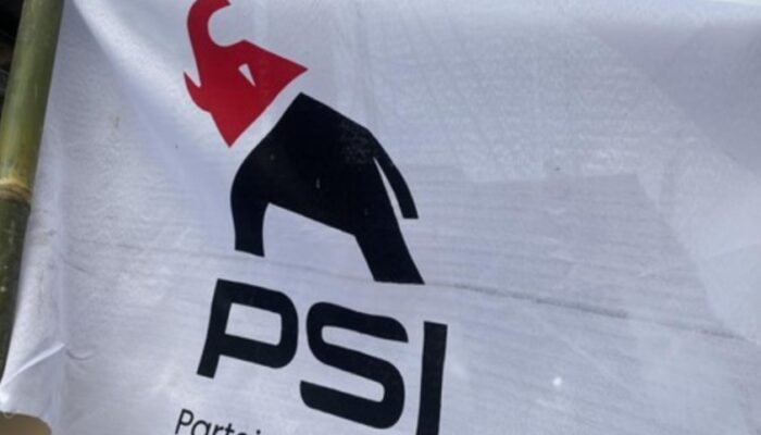 Logo Baru PSI Bergambar Gajah Tuai Olok-olok