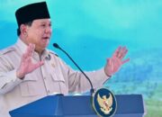 Respons Presiden Prabowo Subianto Soal Fenomena Pengibaran Bendera One Piece