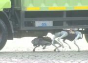 Kemampuan Robot K9 Polri Dapat Deteksi Gas Beracun