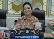 Ketua Komisi IV DPR RI Minta Mentan Tindak Tegas Produsen Beras Oplosan