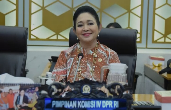 Titiek Soeharto Minta Mitigasi El Nino Dipercepat demi Jaga Ketahanan Pangan Nasional
