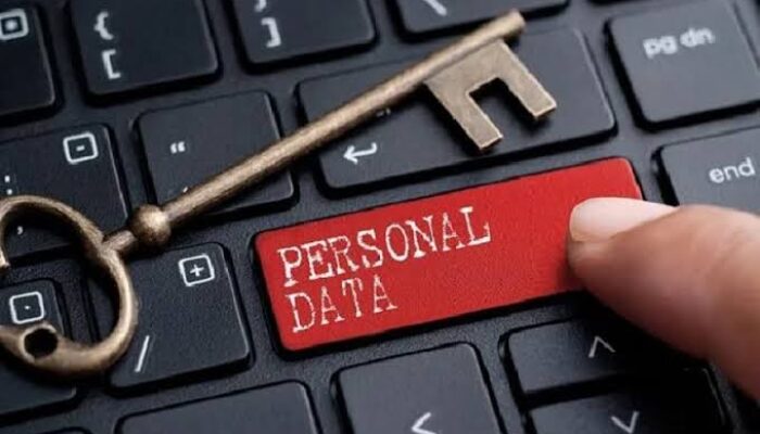 Panen Kritik Transfer Data