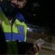 Viral Nyetir di Jakarta Harus Pakai SIM Jakarta