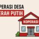 Celios Soroti Peran Kopdes dalam Proyek 3 Juta Rumah