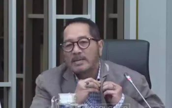 Legislator Golkar: Pengibaran Bendera One Piece Jelang HUT RI adalah Makar