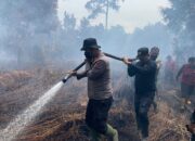 Barreskrim Polri Tetapkan 89 Tersangka Karhutla Sumatera dan Kalimantan