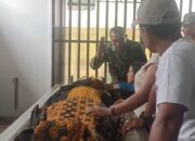 Baru Dua Bulan Jadi Anggota TNI, Prada Lucky Tewas Dianaiaya Senior
