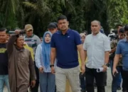 Heboh Plat BL Kena Razia, Begini Kata Bobby Nasution